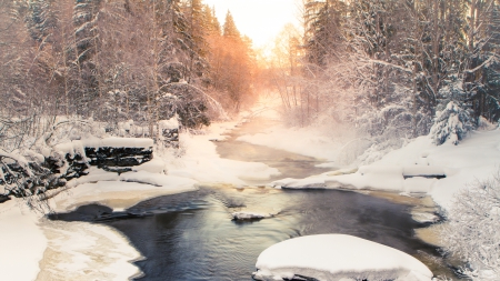 mist from a river in winter - winter, forest, mist, river