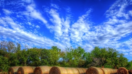 hay bales under beautiful blue sky hdr - sky, hay, clouds, field, bales, trees, blue, hdr