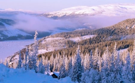 View of mountain in winter - vallsy, cabin, snow, mountain, view, frost, nice, hut, cottage, sky, clouds, house, trees, winter, beautiful, slope, lovely, nature