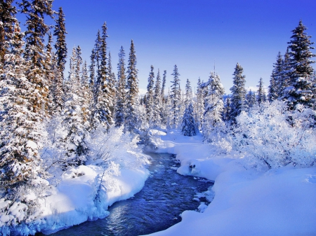 Banff National Park in winter - Mountains & Nature Background ...