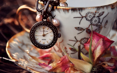 â™¥â™¥â™¥ - oclock, time, flower, cup