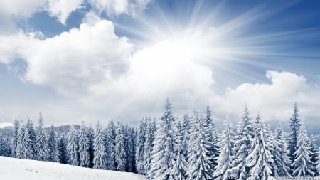 White paradise - clouds, sunlight, winter, snow, landscape, scene, HD, forest, nature, pine, mounatins, sun, sky, shine, wallpaper