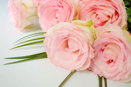 ≌✿ Gently Innocence ✿≌ - wonderful, roses, fresh, delicate, bouquet, pink