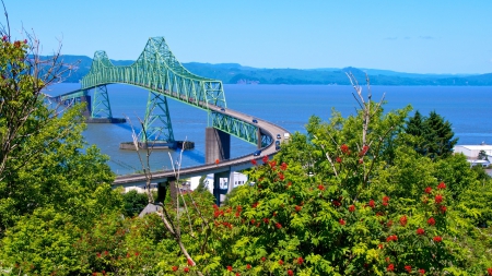 view of a wonderful tall bridge - view, bridge, trees, river