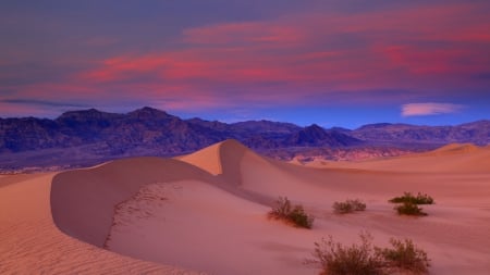 sand dunes in death valley at twilight - twilight, mountains, desert, sand, dunes