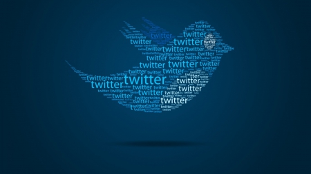 Twitter - twitter, network, bird, social