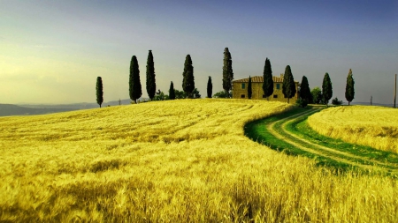 Tuscany - wallpaper, roads, hills, grass, tuscany, new, tree, trees, nature