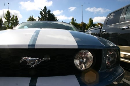 Mustang - Gt, 500, Mustang, USA