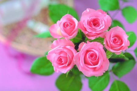 Roses - flowers, soft, pink roses, beauty, bouquet, pastel