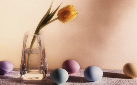 Still Life - beautiful, flower, yellow, eggs