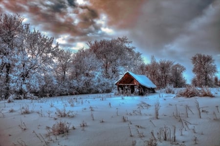 Winter cottage - quiet, lonely, cabin, snow, calmness, frost, hut, cottage, sky, clouds, trees, winter, beautiful, ice, cold, serenity, peaceful