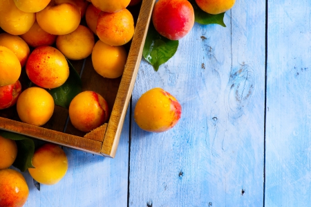 Apricot - fruits, blue, apricots, orange, food, apricot, fruit