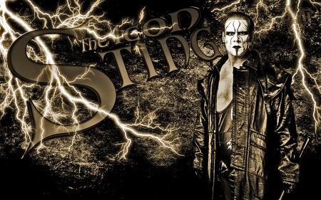 The Icon Sting - sting, the icon sting, sting tna, sting wcw