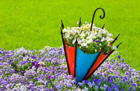 Pansy Flowerbed With Decorative Umbrella - nice, flowerbed, freshness, carpet, decorative, greenery, lovely, spring, pansies, pretty, umbrella, beautiful, grass, decoration