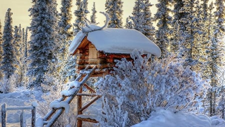 lovely log hunting lodge in a forest clearing hdr - winter, lodge, hdr, ladder, forest, antlers