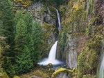 wachlella falls in the columbia river gorge