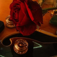 Red rose and guitar