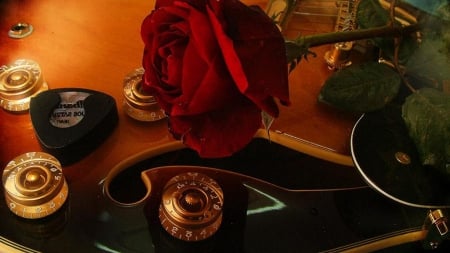 Red rose and guitar - flower, guitar, rose, music