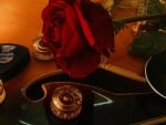 Red rose and guitar