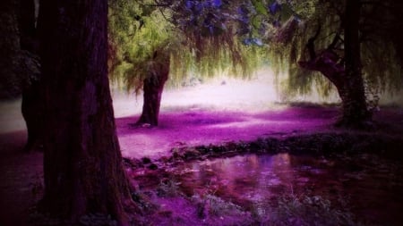 Enchanted forest - nature, purple, tree, forest