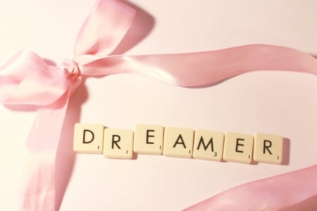 Dreamer - messagge, pink, softness, text, beauty, beautiful, ribbon, pastel, lovely, dreamer