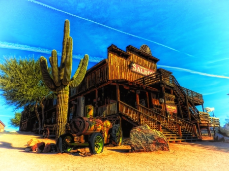 Mammoth Saloon, Arizona - cactus, steam machine, tree, desert, house