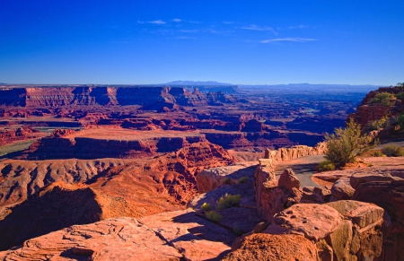 Dead Horse Point, Moab, Utah - usa, desert, landscape, shadows, mountains, tree