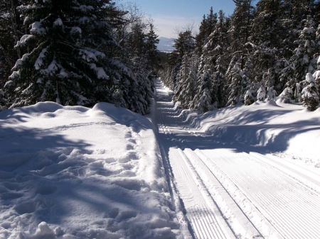 Winter Ski - spitfire, ford, chimo, desota