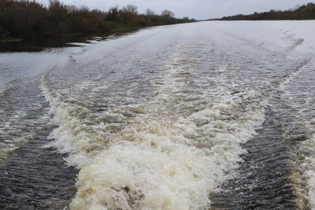 Wake on the Lake - lake, water, river, boating