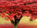 Red tree