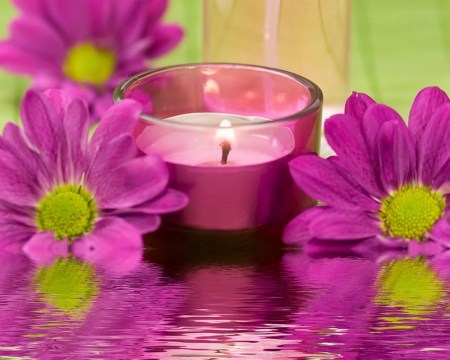 Flowers and candle - candle, flowes, petals, reflection