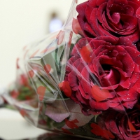 romantic bouquet of roses