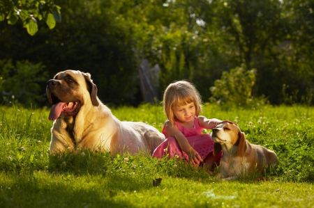 Girl and dogs