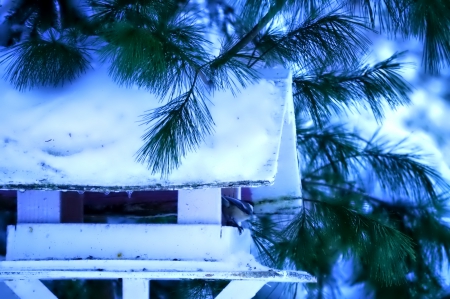 Birdhouse - snowflake, beautiful, photography, tree, wonderful, nature, cold, winter, snowflakes, photo, sun, sky, lovely, splendor, ice, trees, snow