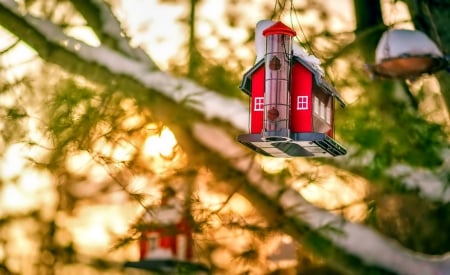 Birdhouse - snowflakes, splendor, snow, photo, sky, sun, trees, winter, beautiful, photography, lovely, tree, wonderful, ice, nature, snowflake, cold