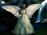 Beautiful white Angel