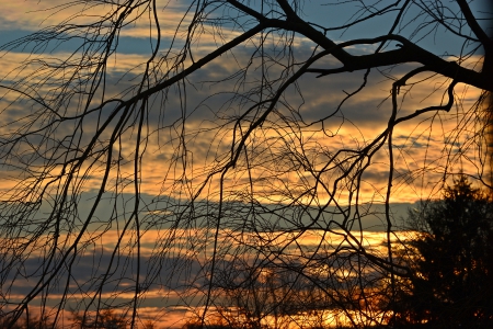 Sunset2 - sky, cloud, yellow, sun, blue, blue sky, tree