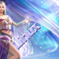 Linux elf