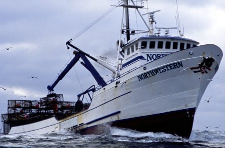 Northwestern Deadliest Catch King Crab Quota - deck, fishing, crabs, boat