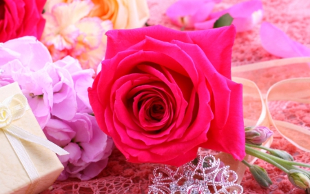 Beautiful rose - flowers, petals, pink, rose