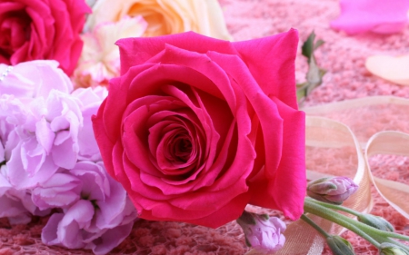 Beautiful rose - flowers, petals, pink, rose