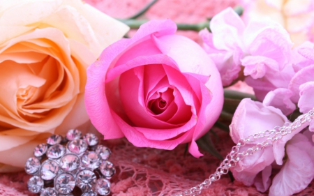 Beautiful roses - flowers, roses, petals, bloom