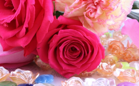 Beautiful rose - flower, petals, rose, bloom