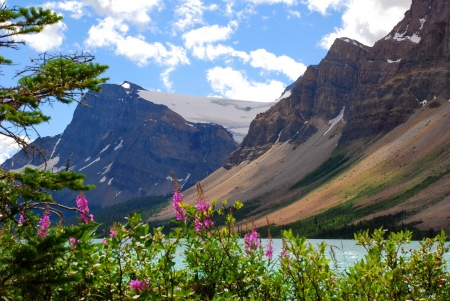 Mountain beauty - clouds, branches, hills, beautiful, landscape, grass, lovely, mountain, flowers, shore, nature, cliffs, lake, sky, rocks