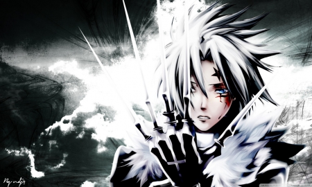 d gray man