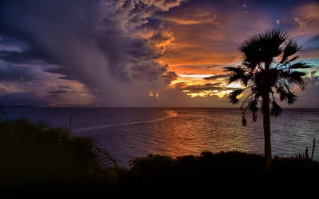 beautiful clouds at sunset - sky, trees, popular, palms, wallpaper, sunset, shore, nature, oceans, clouds, sunsets, sea