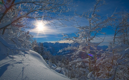 superb winter scene - rays, trees, popular, mountain, sun, winter, wallpaper, nature, landscapes