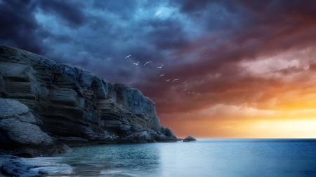 sea birds flying over cliffs in sunset hdr