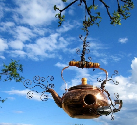 Bird house - bird house, teapot, nature, sky