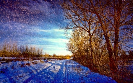 LET it SNOW! - path, winter, forest, snowing